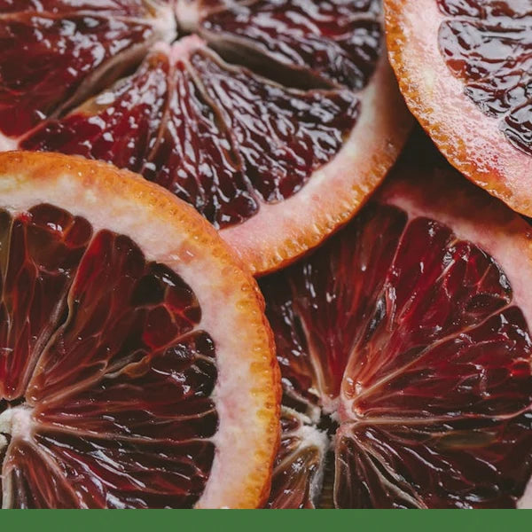 Dried Blood Orange (Citrus sinensis) Slices - Dried Herb, Organic