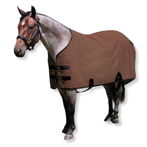 Mustang Manufacturing Canvas Stable Blanket
