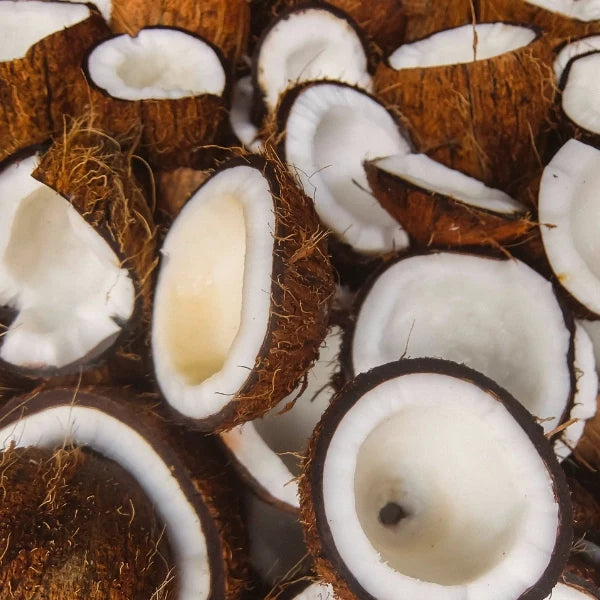 Wild Yam Cream